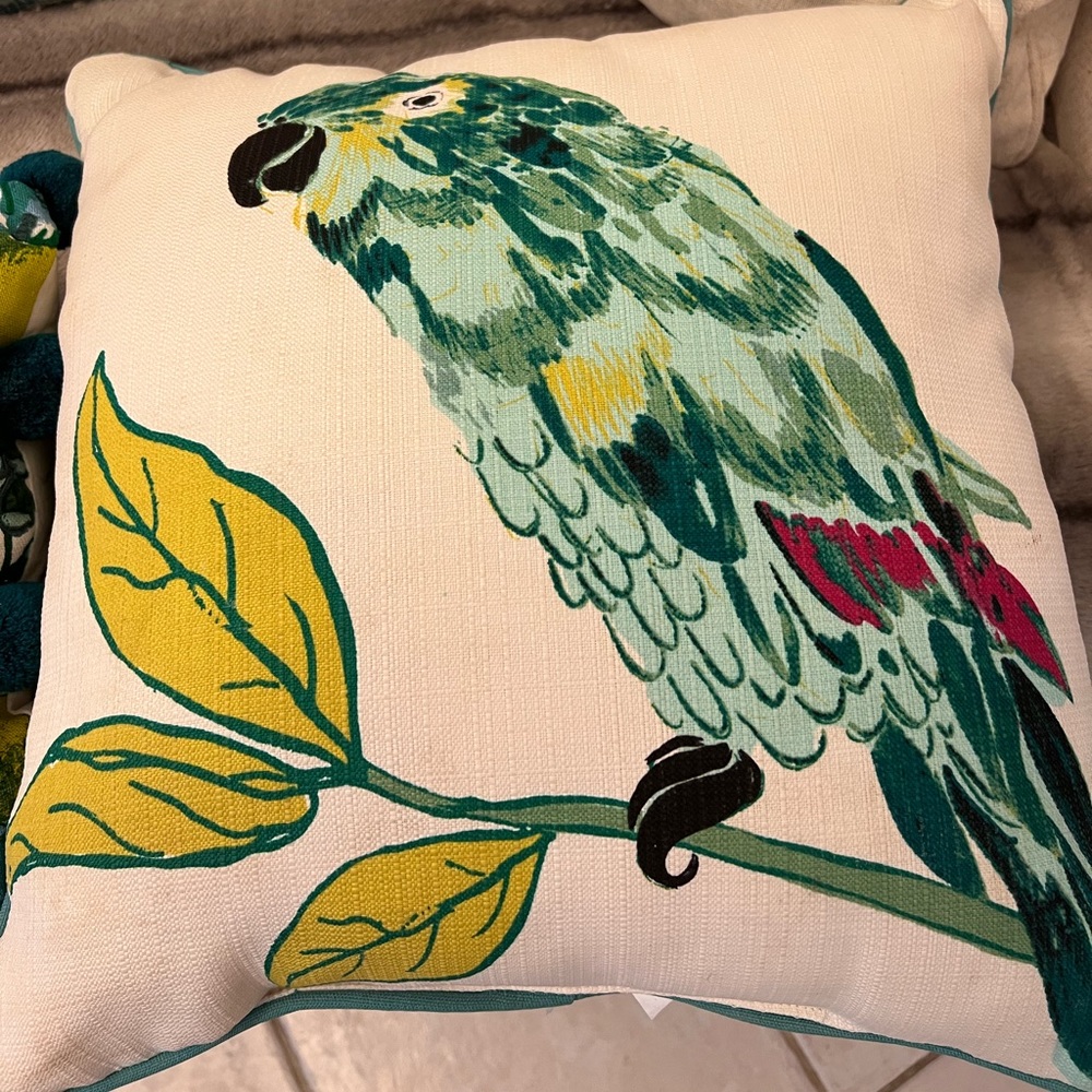 2 Floral Decor Pillows. Designer: Opalhouse.